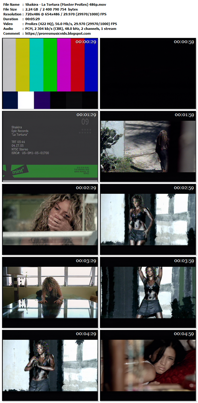 Shakira – La Tortura