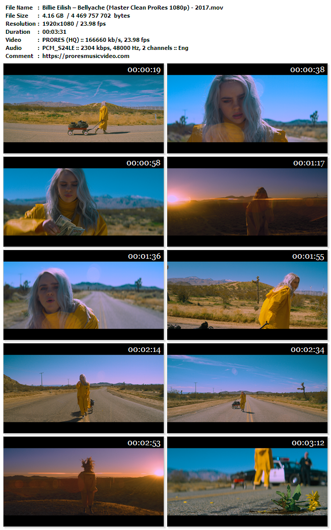 Billie Eilish – Bellyache (VIP) – Master Prores Music