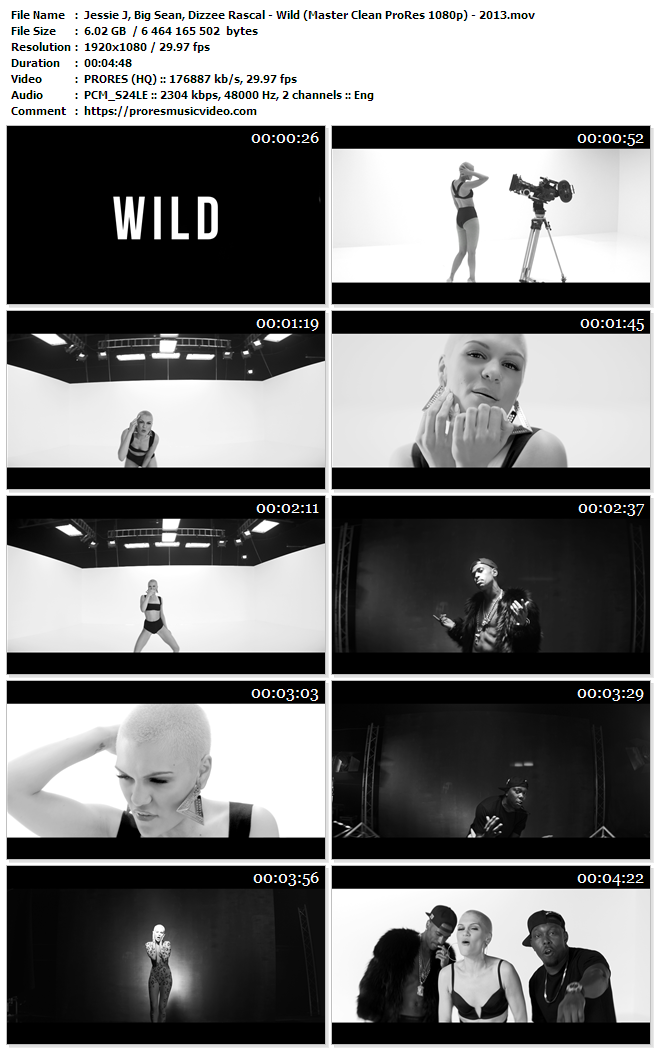 Jessie J, Big Sean, Dizzee Rascal – Wild (VIP)