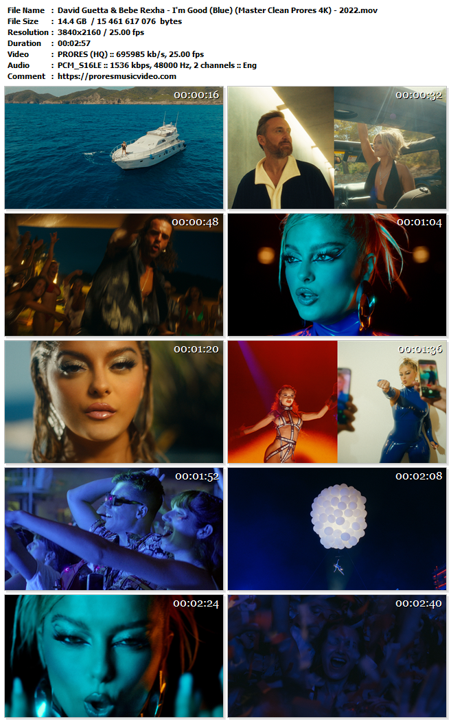 David Guetta & Bebe Rexha – I’m Good (Blue) (VIP)